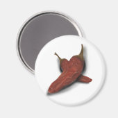 Chili Magnet (Vorderseite/Rückseite)