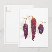 CHILI PAPRIKASCHOTEN Postkarte (Vorne/Hinten)