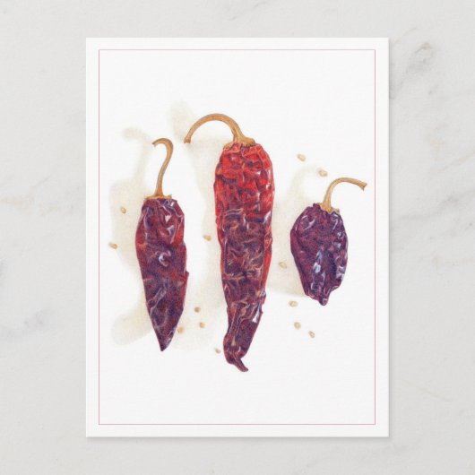 CHILI PAPRIKASCHOTEN Postkarte (Vorderseite)