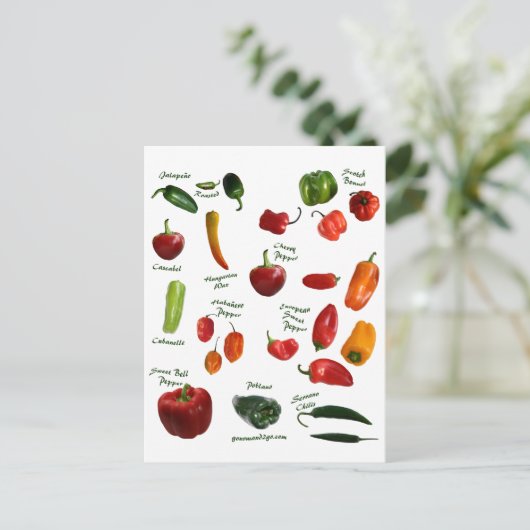 Chili Pepper ID Postkarte (Stehend Vorderseite)