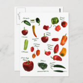 Chili Pepper ID Postkarte (Vorne/Hinten)