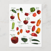 Chili Pepper ID