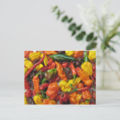 Chili Pile Postkarte (Stehend Vorderseite)