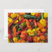 Chili Pile Postkarte (Vorne/Hinten)