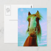 Chili Postkarte (Vorne/Hinten)