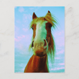 Chili Postkarte