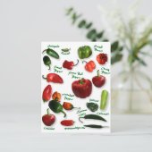 Chili Postkarte (Stehend Vorderseite)