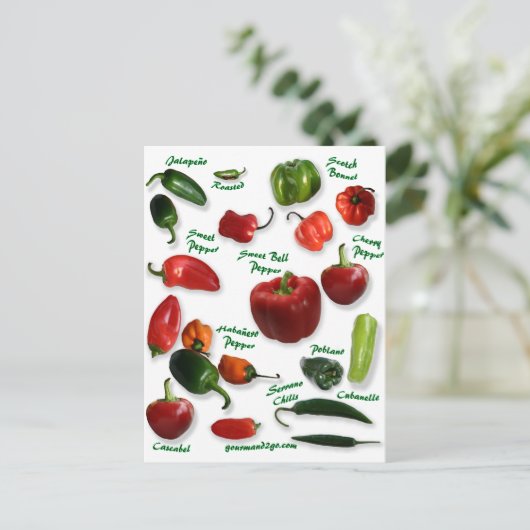 Chili Postkarte (Stehend Vorderseite)