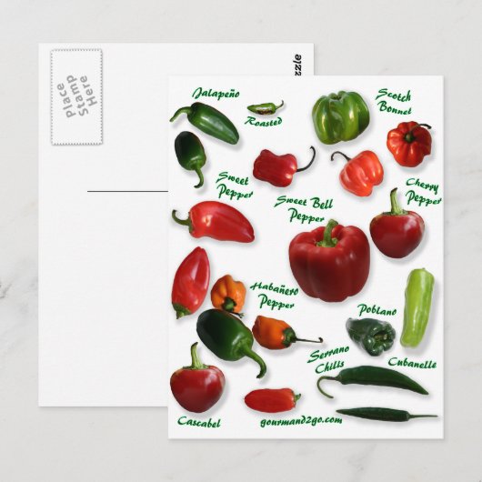 Chili Postkarte (Vorne/Hinten)