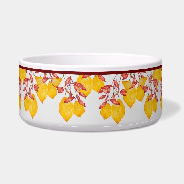 Chili und Kurkuma Napf (Vorderseite)