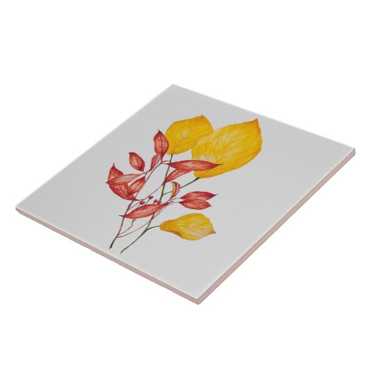 Chili und Turmerin auf einer Keramik Fliese (Seite)