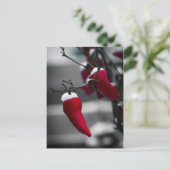 Chili Weihnachtskarten Feiertagspostkarte (Stehend Vorderseite)