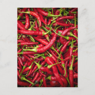 Chilies Postkarte