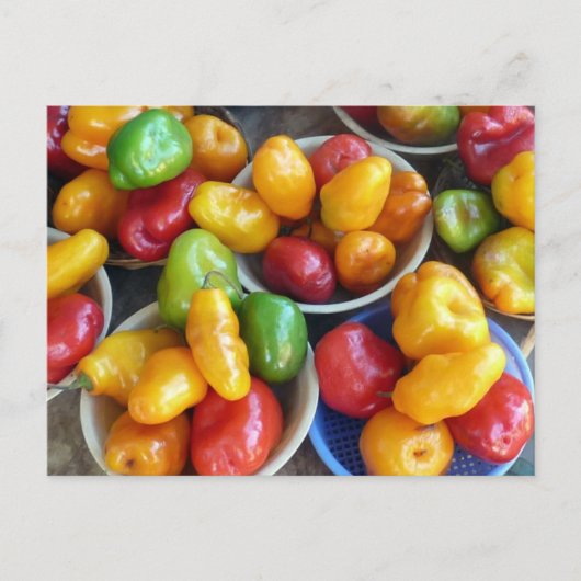 CHILIES POSTKARTE (Vorderseite)