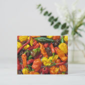 Chilihead-Karte Postkarte (Stehend Vorderseite)