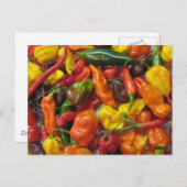 Chilihead-Karte Postkarte (Vorne/Hinten)