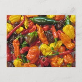 Chilihead-Karte Postkarte