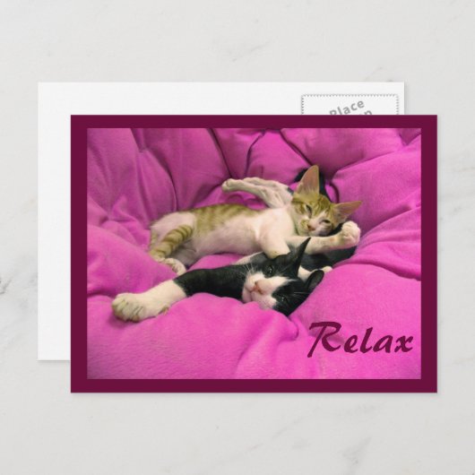 Chill Bill & Relax Max Postkarte (Vorne/Hinten)