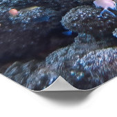 Chill Hawksbill Poster (Ecke)