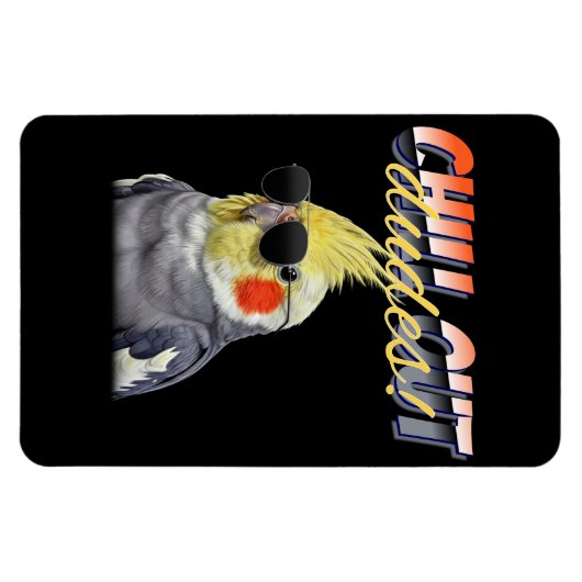 Chill Out Dudes Magnet (Horizontal)