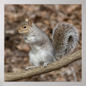 Chill Poster (Vorne)