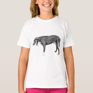Chill Stride: Bully Mix in Black & White T-Shirt