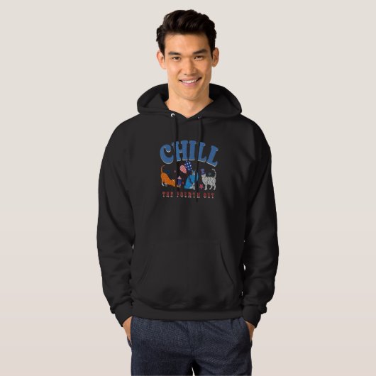 Chill The Fourth Out Cat USA 4th Of July Patriotic Hoodie (Vorne ganz)