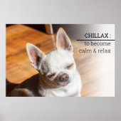 Chillax Chihuahua schläfrig entspanntes Zunge-out- Poster (Vorne)