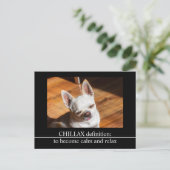 Chillax Chihuahua schläfrig entspanntes Zunge-out- Postkarte (Stehend Vorderseite)