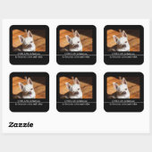 Chillax Chihuahua schläfrig entspanntes Zunge-out- Quadratischer Aufkleber (Blatt)