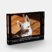 CHILLAX definition calm relax chihuahua photo text Fotoblock (Links)