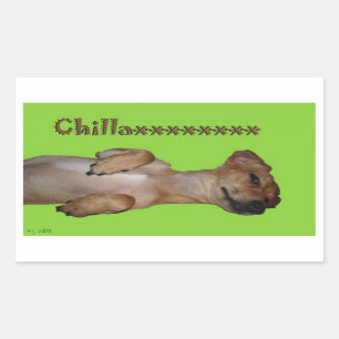 Chillaxin Chiweenie Aufkleber