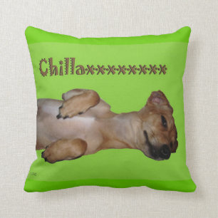 Chillaxin Chiweenie lumbales Wurfs-Kissen Kissen