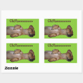 Chillaxin Chiweenie Sticker (Blatt)