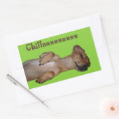 Chillaxin Chiweenie Sticker (Umschlag)