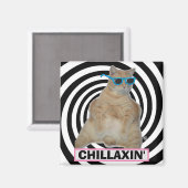 CHILLAXIN" Fett Manx Katze mit Sonnenbrille Magnet (Vorderseite/Rückseite)