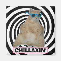 CHILLAXIN" Fett Manx Katze mit Sonnenbrille