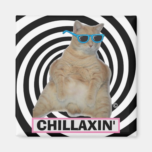 CHILLAXIN" Fett Manx Katze mit Sonnenbrille Magnet (Vorne)
