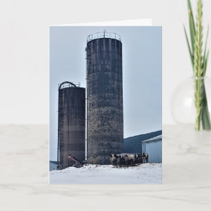 "Chilled Beef" Geburtstagskarte Karte