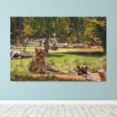 Chillin Leinwanddruck (Insitu (Holzboden))