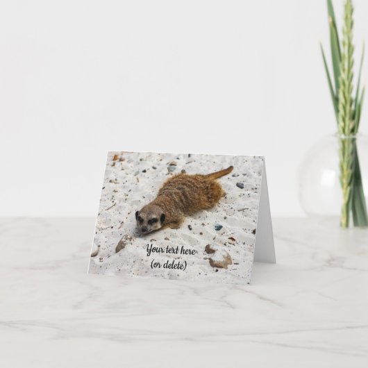 Chillin' Meerkat Faltkarte Karte (Vorderseite)