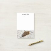 Chillin' Meerkat Post-it Klebezettel (Auf Schreibtisch)