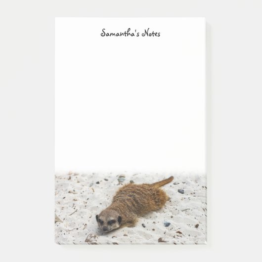 Chillin' Meerkat Post-it Klebezettel (Vorderseite)