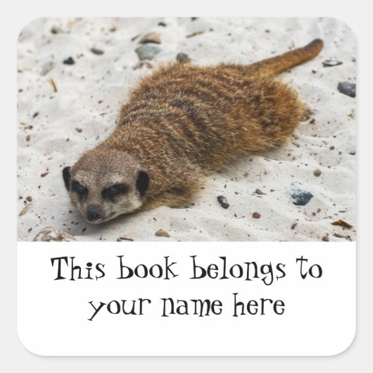 Chillin' Meerkat "This book gehört" Aufkleber (Vorderseite)