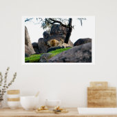 Chillin Poster (Küche)