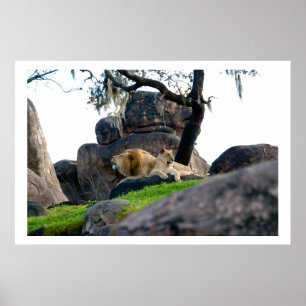 Chillin Poster