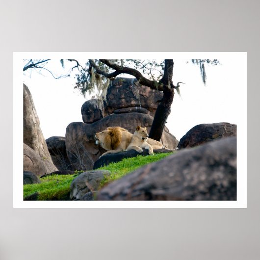 Chillin Poster (Vorne)