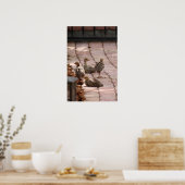 Chillin Poster (Küche)