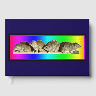 Chilling African Hyrax Gästebuch