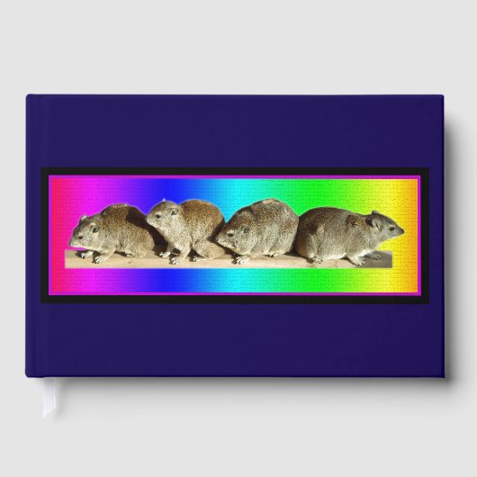 Chilling African Hyrax Gästebuch (Vorderseite)